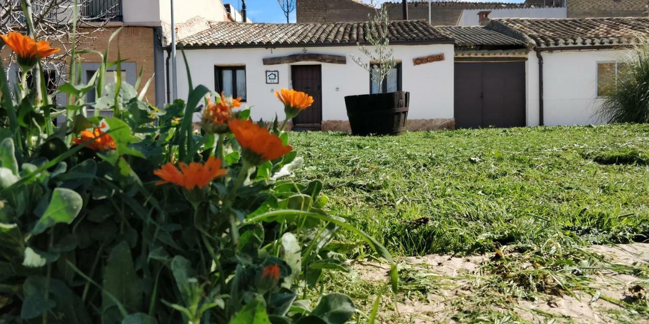 La Mimosa Vila Carcastillo Exterior foto