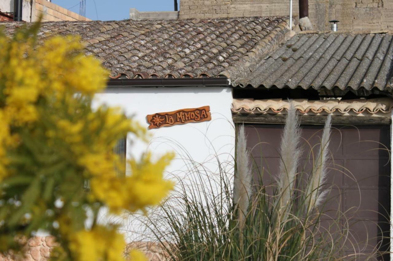 La Mimosa Vila Carcastillo Exterior foto